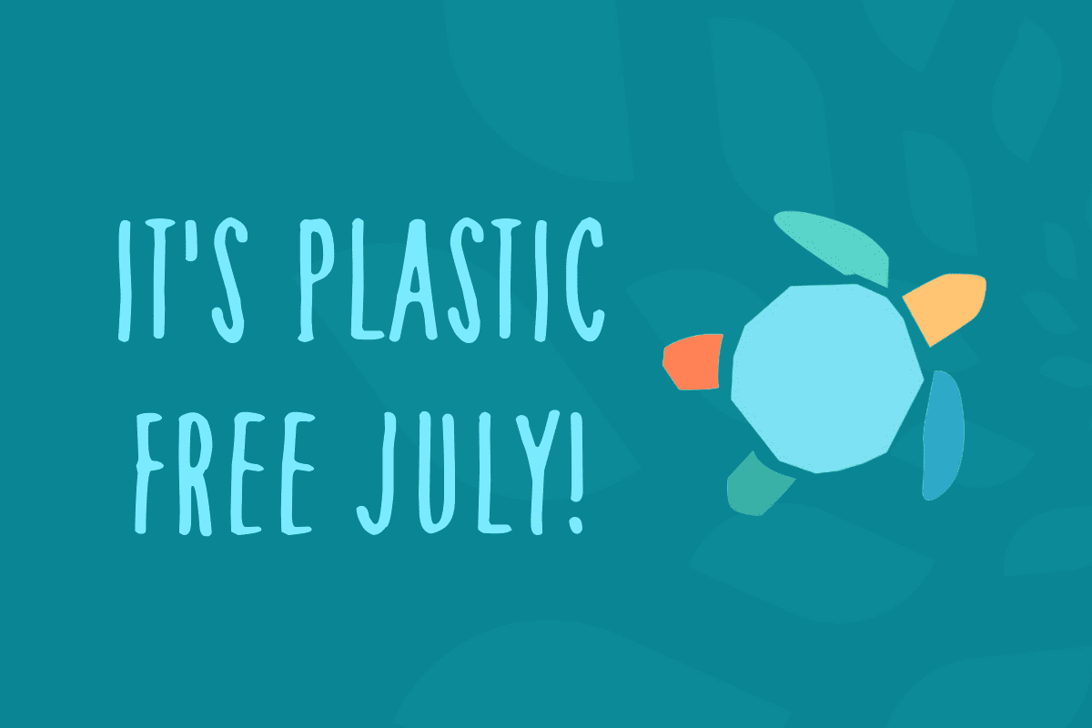 Plastic Free July - Shellharbour Waste