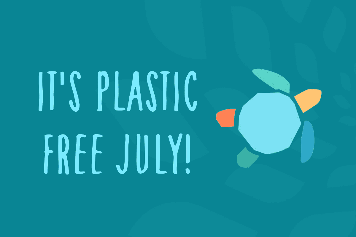 Plastic Free July Shellharbour Waste